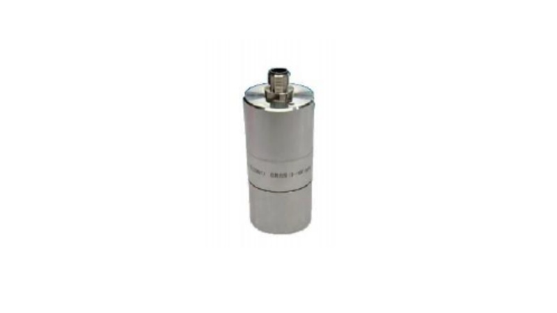 Hydrogen sulfide sensor